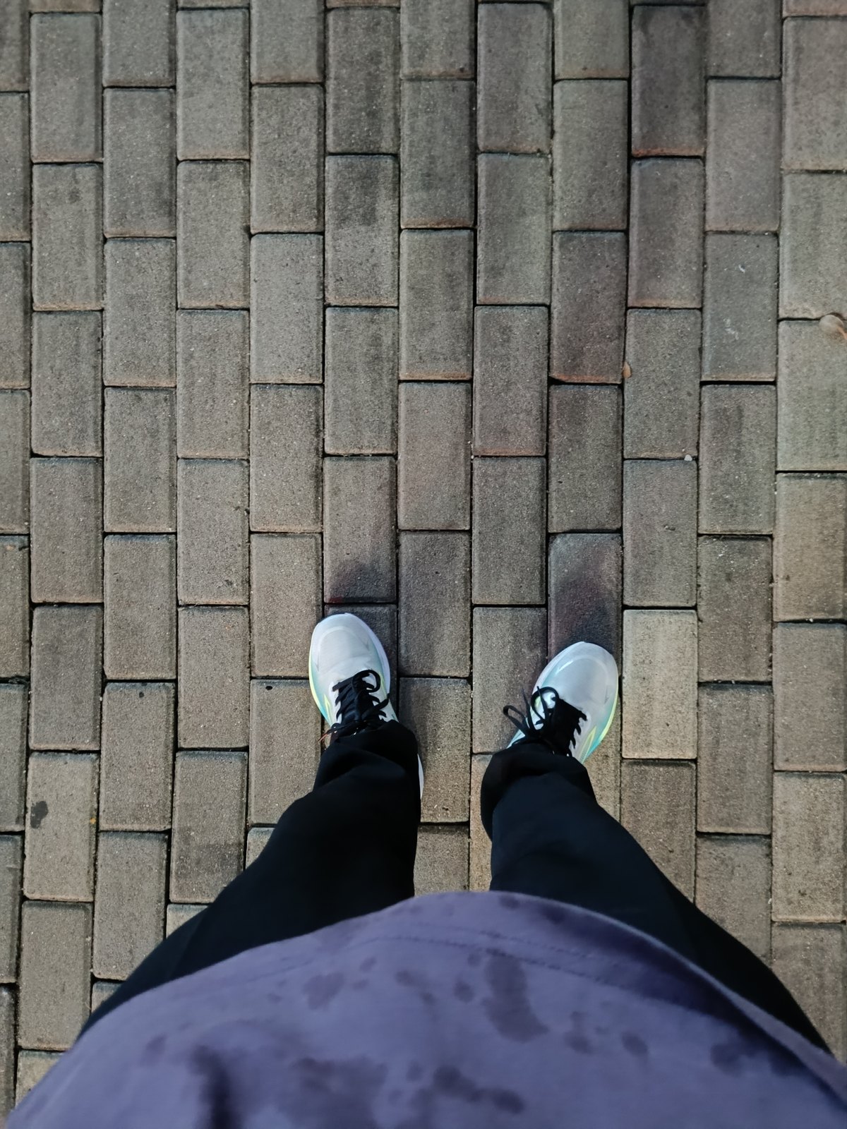 湿衣襟，脚下的砖路